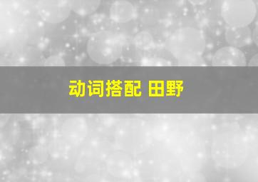 动词搭配 田野